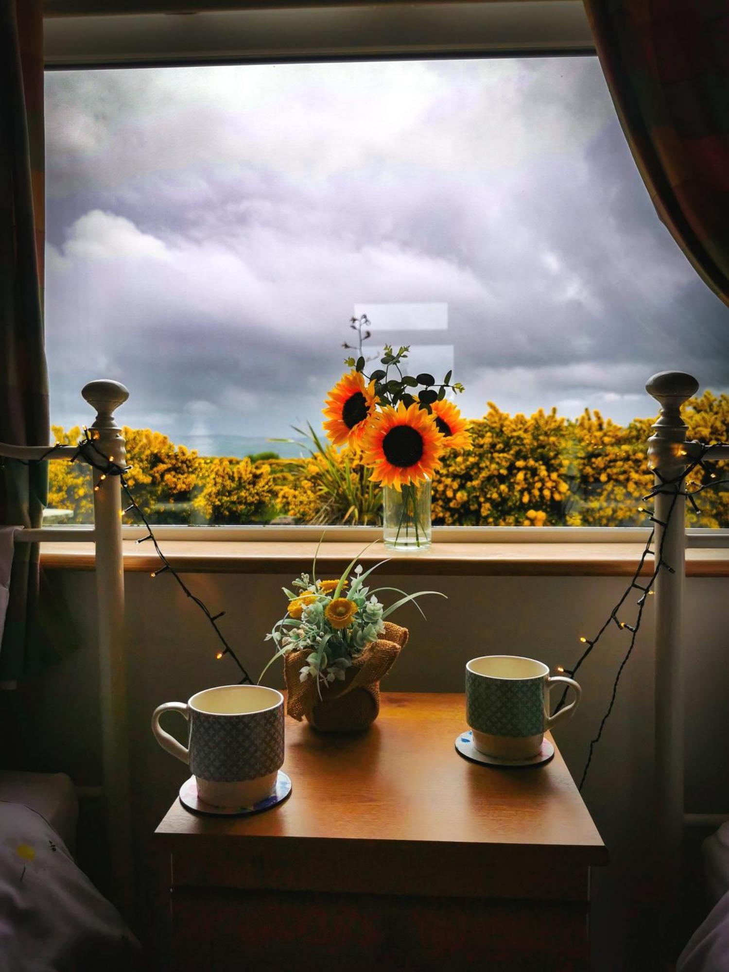 Causeway Coast Country Cottage, Pet-Friendly Ballycastle Eksteriør billede