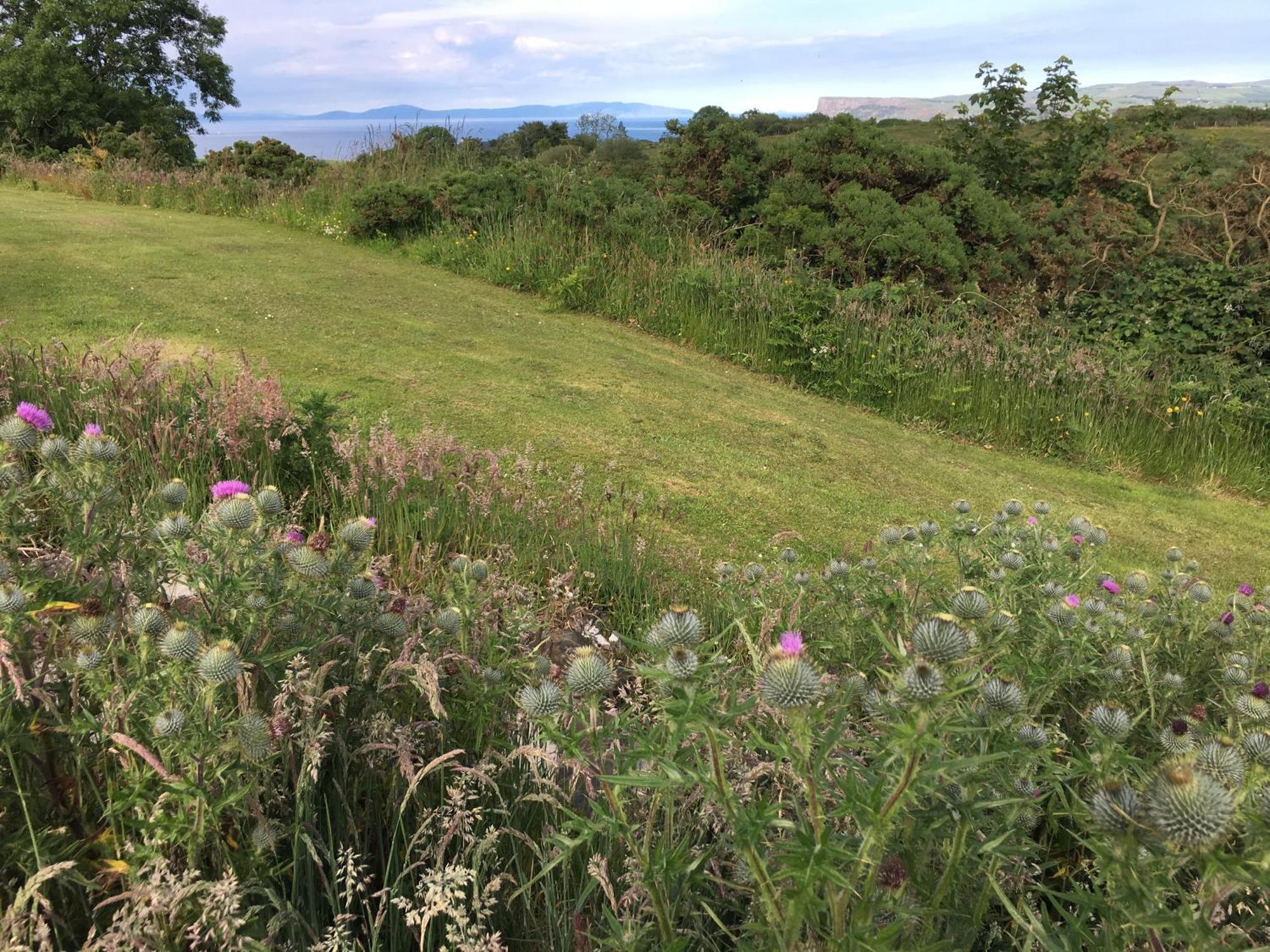 Causeway Coast Country Cottage, Pet-Friendly Ballycastle Eksteriør billede